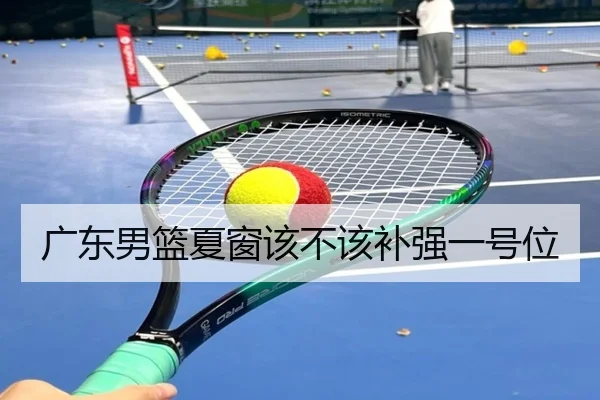 广东男篮夏窗该不该补强一号位
