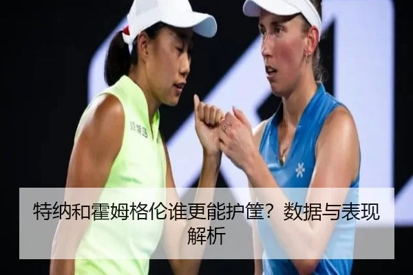 特纳和霍姆格伦谁更能护筐？数据与表现解析